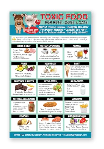 Magnetic List of Toxic Harmful Foods for Pets - Dog Cat Feeding Chart - People Food Dogs Cats Should Not Eat - Chart Decorative Magnets - Pet Safety - Pet Adoption Essentials Gift 5.5 x 8.5 inches