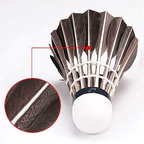 ZHENAN 12-Pack Advanced Black Goose Feather Badminton Shuttlecock with Great Stability and Durability,Shuttlecocks Indoor Outdoor Sports Hight Speed Training Badminton Birdies Balls