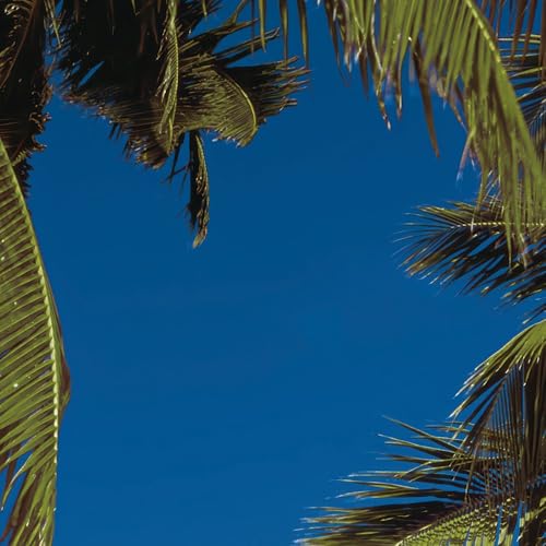 Komar Vlies Fototapete - Maldives - Größe 336 x 240 cm - Tapete, Strand, Palmen - Bahnbreite 50 cm