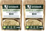 Semi di Canapa Decorticati Bio 500 g | Origine UE | 100% Hemp seeds naturali e crudi | Senza Glutine | Qualità superiore (Confezione da 2)