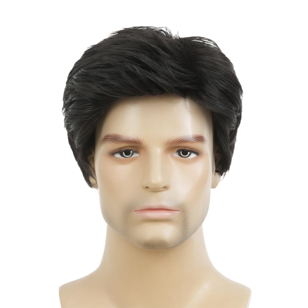 Men Wig Short Black Wigs for Men Side Part Layered Straight Fluffy Hair for Male Daily Cosplay Use
