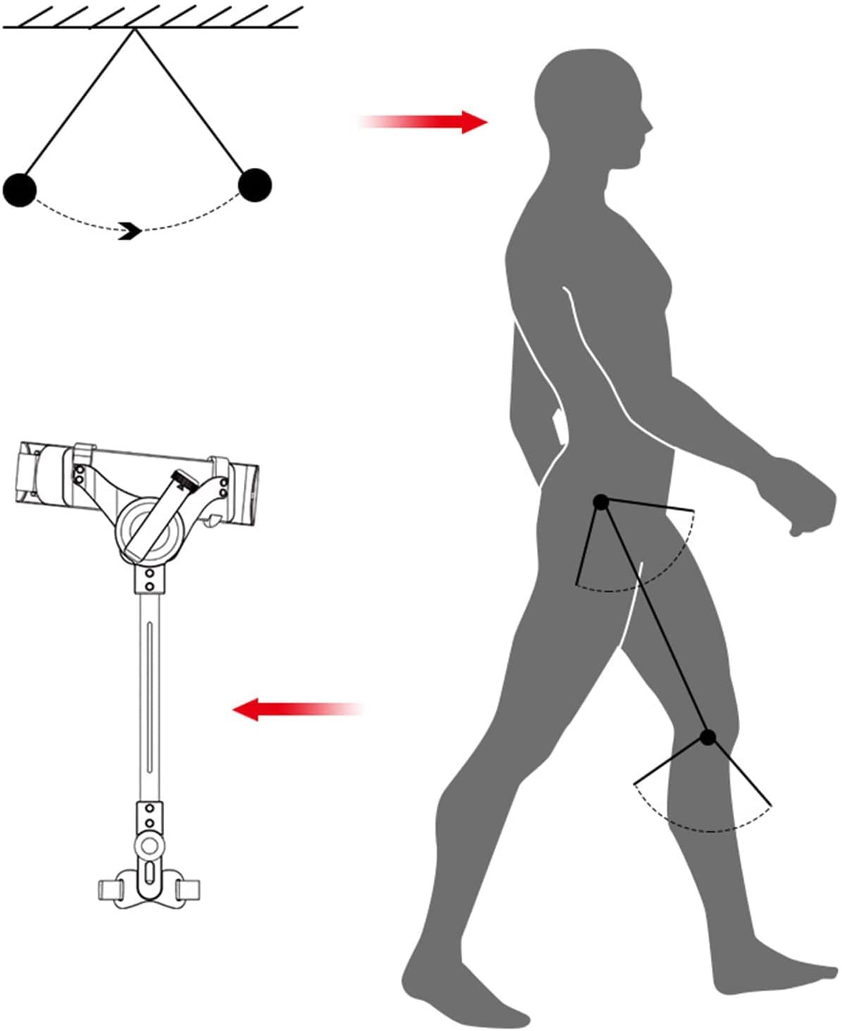Pomoce do chodzenia, Lekki chodzik rehabilitacyjny, pomocnicza pomoc rehabilitacyjna dla seniorów, w chodzeniu osób starszych(Legs,S)
