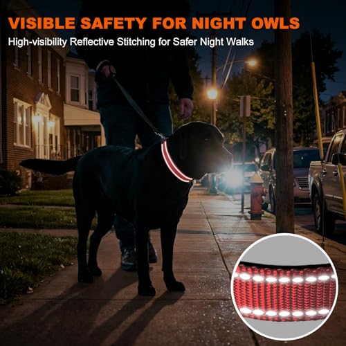 Image of Taglory Reflective Extra Large Dog Collar, Comfortable for Safe Night Walks