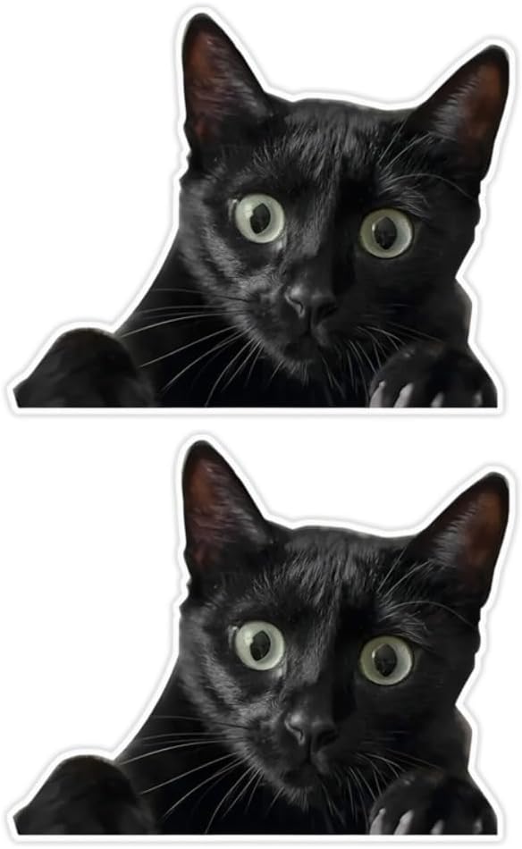 A Surprised Black Cat Car Stickers, 2-Pack, 5.91"x4.72", Funny Cat Waterproof Vinyl Decal for Car, Laptop, Wall, Window, Motorcycle Decorative Exterior Accessories |#AZ211