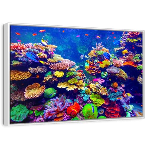 ElephantStock - Vibrant Underwater Scenery Wall Art - Horizontal Floating