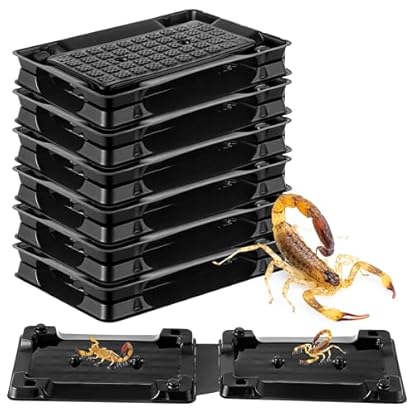 Foto di Qualirey 6 trappole adesive per scorpioni, per interni, sicure per animali domestici e bambini, repellente per scorpioni, trappole per insetti da interni, per cantina, bagni e garage