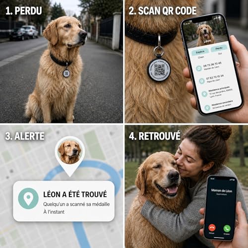 Médaille chien chat QR code Animoco : lot de 2 plaques d'identification étanches