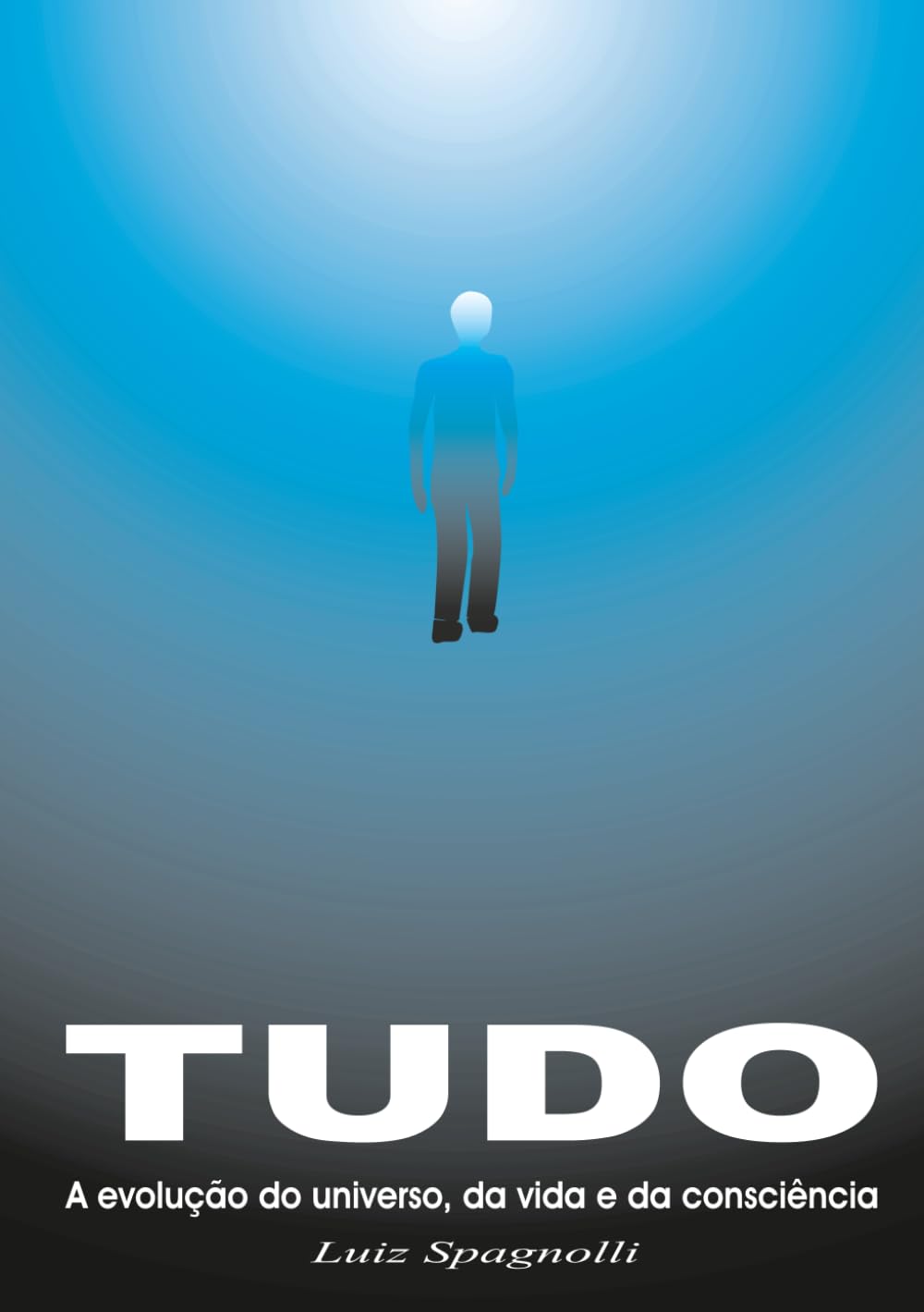 TUDO - A Evolução do Universo, da Vida e da Consciência: Volume 4 - Evolução