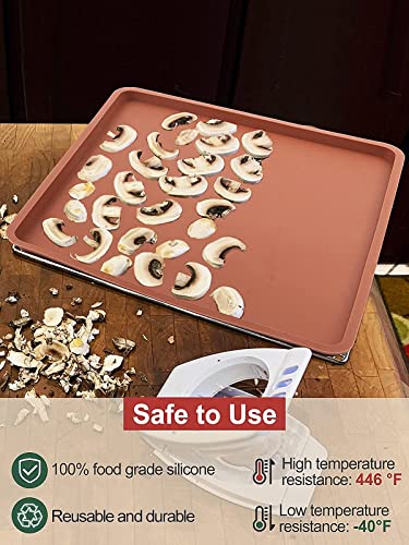 6Pcs Silicone Dehydrator Mats With Edge - Silicone Sheets Compatible With Cosori Cp267-Fd, Nonstick Silicone Tray Liner, High Temperature Resistance Reusable For Fruits Meat Vegetables Herbs #TOP1