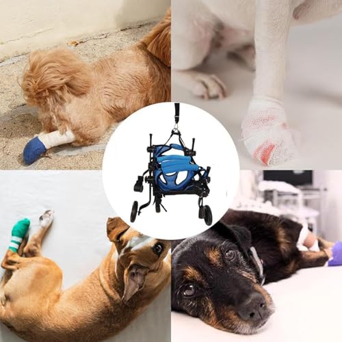 Silla de ruedas para perros pequeños que ayuda a su rehabilitación 5