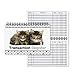 Top Spiral Bound Kittens Checkbook/Transaction Register