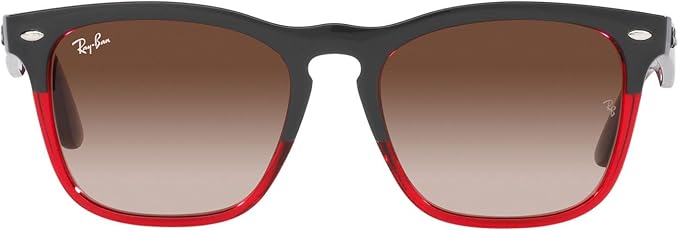 Ray-Ban RB4487 Steve Square Sunglasses