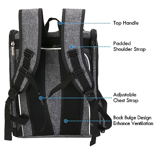 Cat Carrier Expandable Backpack, Airline Approved Pet Carriers for Small Dogs, Large Cat Bag Carrier, Foldable Collapsible Travel Bookbag for Carrying Cats Puppy Kitten Bunny Bird Chicken (Black)
