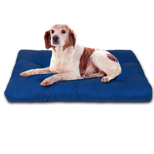 MERCURY TEXTIL- Cama de Mascota, Colchón para Perro (Small, Azul)