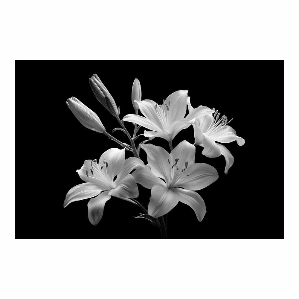 HOQIU Black And White Pictures For Walls Monochrome Lilys Blooms prints for walls, canvas wall art, for Living Room Bedroom Bathroom Home Office Wall Decoration(Multicolor)-60x80cm Unframed