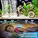 Aquarium Luftpumpe, GuKKK 5W Silent Sauerstoffpumpe mit Rückschlagventil, Regelbare Sauerstoffpumpe für Aquarien, Leistungsstark Sauerstoffpumpe mit 2 Luftauslässen, für Fischbecken und Nanoaquarien