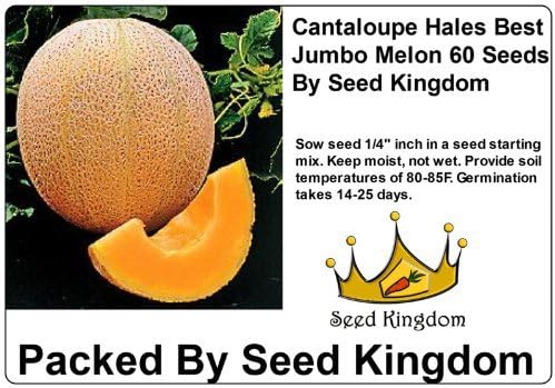Miniatura 3 de Cantaloupe Hales Best Jumbo Melon Heirloom Vegetable de Seed Kingdom 3,000 Seeds
