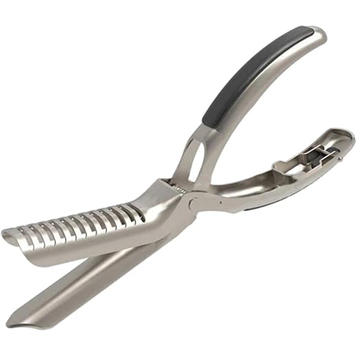 BBQ Rib Skinner Tool