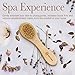 Nevlers Natural Boar Body Brush Set with Detachable Cellulite Brush, Long Wooden Handle for Dry Brushing and Face Brush | Perfect Kit to Exfoliate and Alleviate