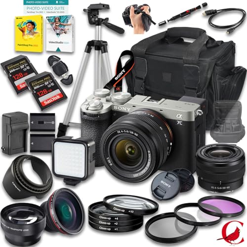 Sony a7C II Mirrorless Camera (Silver) with 28-60mm Lens + 256 GB Memory + Extra Battery + Camera Case + Tripod + More (28pc Bundle)