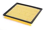 General Motors 22989313, Air Filter