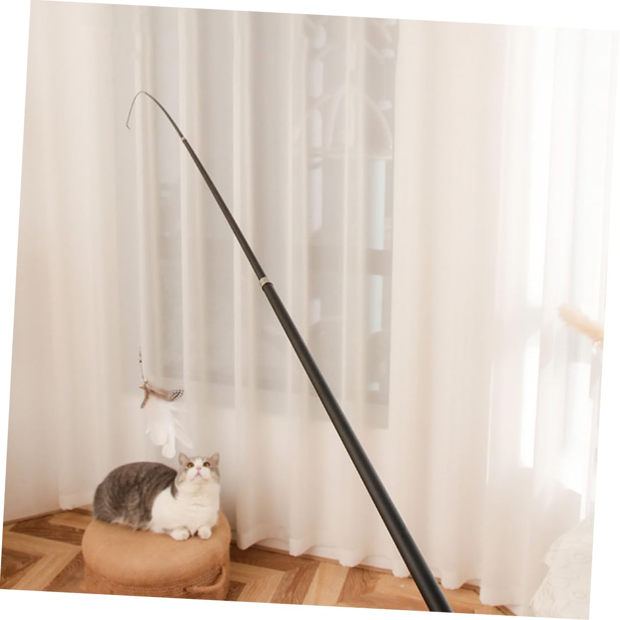 Beavorty 3sets Neugier Katze Spielzeug Teleskop Teaser Stangen Spielzeug Für Katze Übung Fitness 2 Stücke * 3