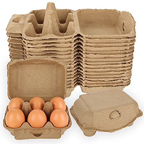 Are Egg Cartons Recyclable? How to Dispose