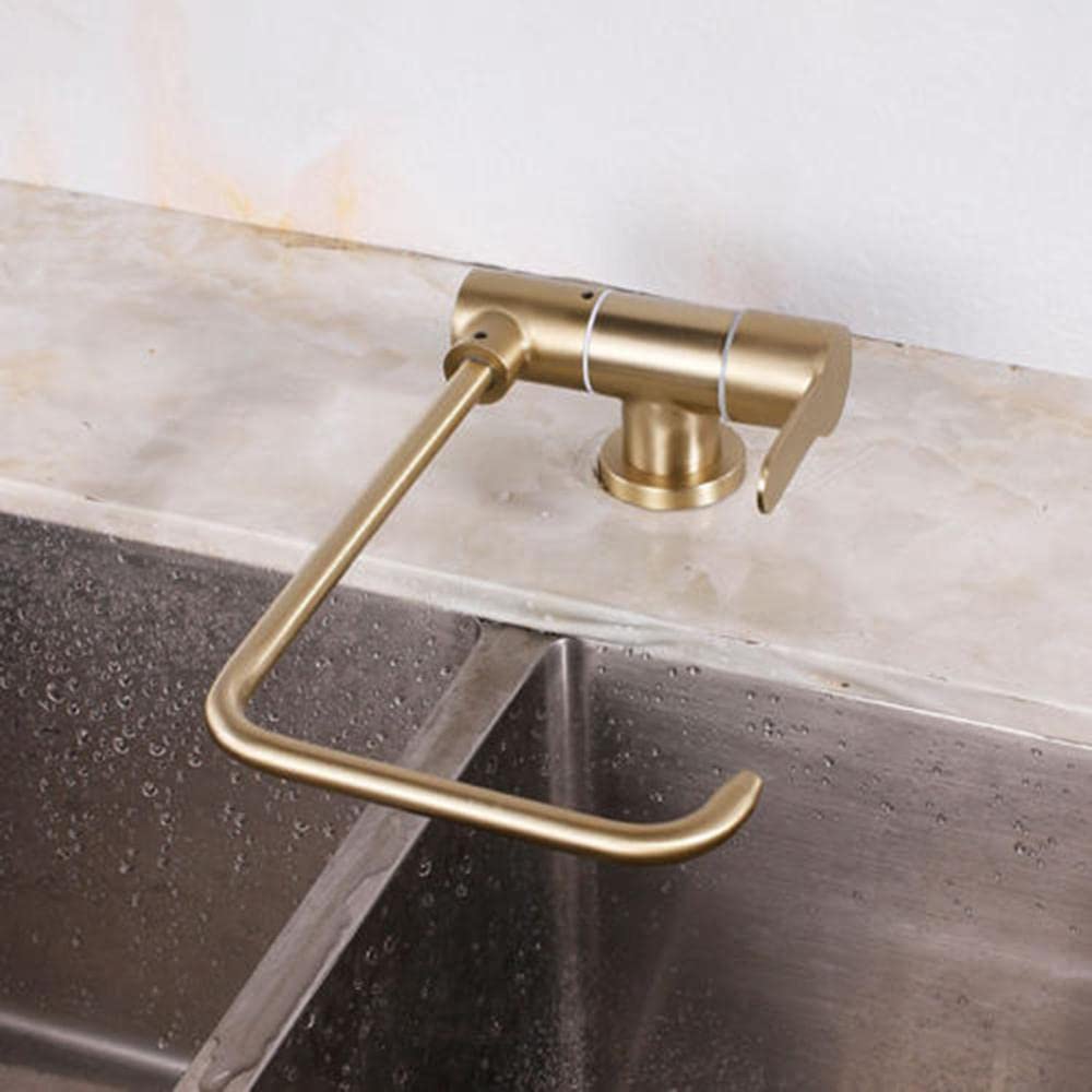 WDSOPK Water Filter Tap Brushed Gold Pure Faucet Stainless Steel Cold Water Faucet-B (A A)