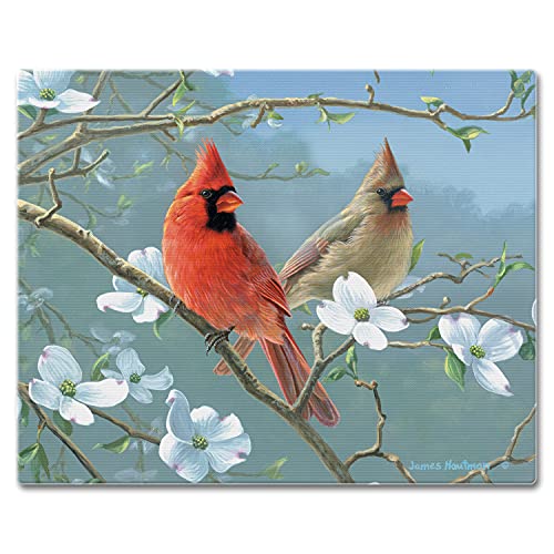 Tabla de cortar rectangular de vidrio templado 15 x 12 pulg miniatura 1