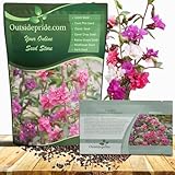 Outsidepride Clarkia Wildflower Seeds - 1/4 Lb. Colorful, Easy to Grow, Self-Seeding & Drought Tolerant Annual Flower Seeds for Spring Planting in Cut Flower Garden and Pollinator Attractions