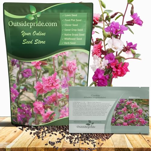 Outsidepride Clarkia Wildflower Seeds - 1 Lb. Colorful, Easy to