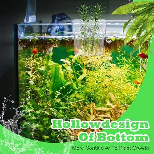 Image of 8 Clear Acrylic Aquarium Plant Holders with Hooks for Aquaponic Plant Cultivation and Aquarium Water Feature Decoration