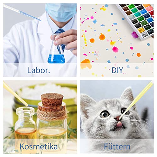 luckaide 100 Stück Pipetten, 3 ml Einwegpipetten, Pipetten Plastik, Pipette für Labor Versuch,ätherische Öle,Klassenzimmer Experiment