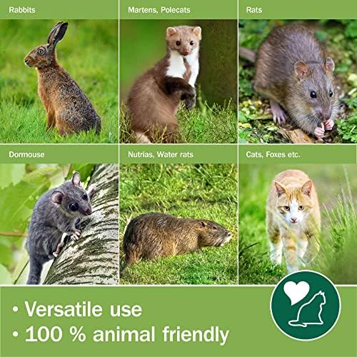 Moorland Live Animal Trap 61x21x23cm  Animal-Friendly Rabbit Trap  Multipurpose & Reusable Animal Trap Cage  Humane & Sturdy Trap Cage with 2 Trap Doors for Weasel Squirrel Polecat Rabbit