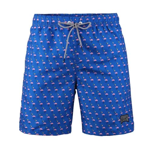 Beautiful Giant Boys Swimming Trunks for Kids Quick Dry Beachwear Baseball Shorts Little Boys Swim Suit Summer Poolwear Size 14-16, Blue Flamingo