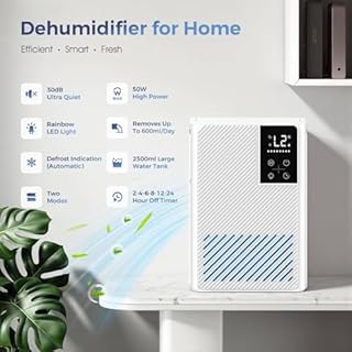 Deumidificatore 2500ML, Deumidificatore Casa Muffa Elettrico, Ultra Silenzioso, Spegnimento Automatico, Purificatore Dell'aria, Contro Umidità e Muffa per Camera da Letto, Bagno, Casa