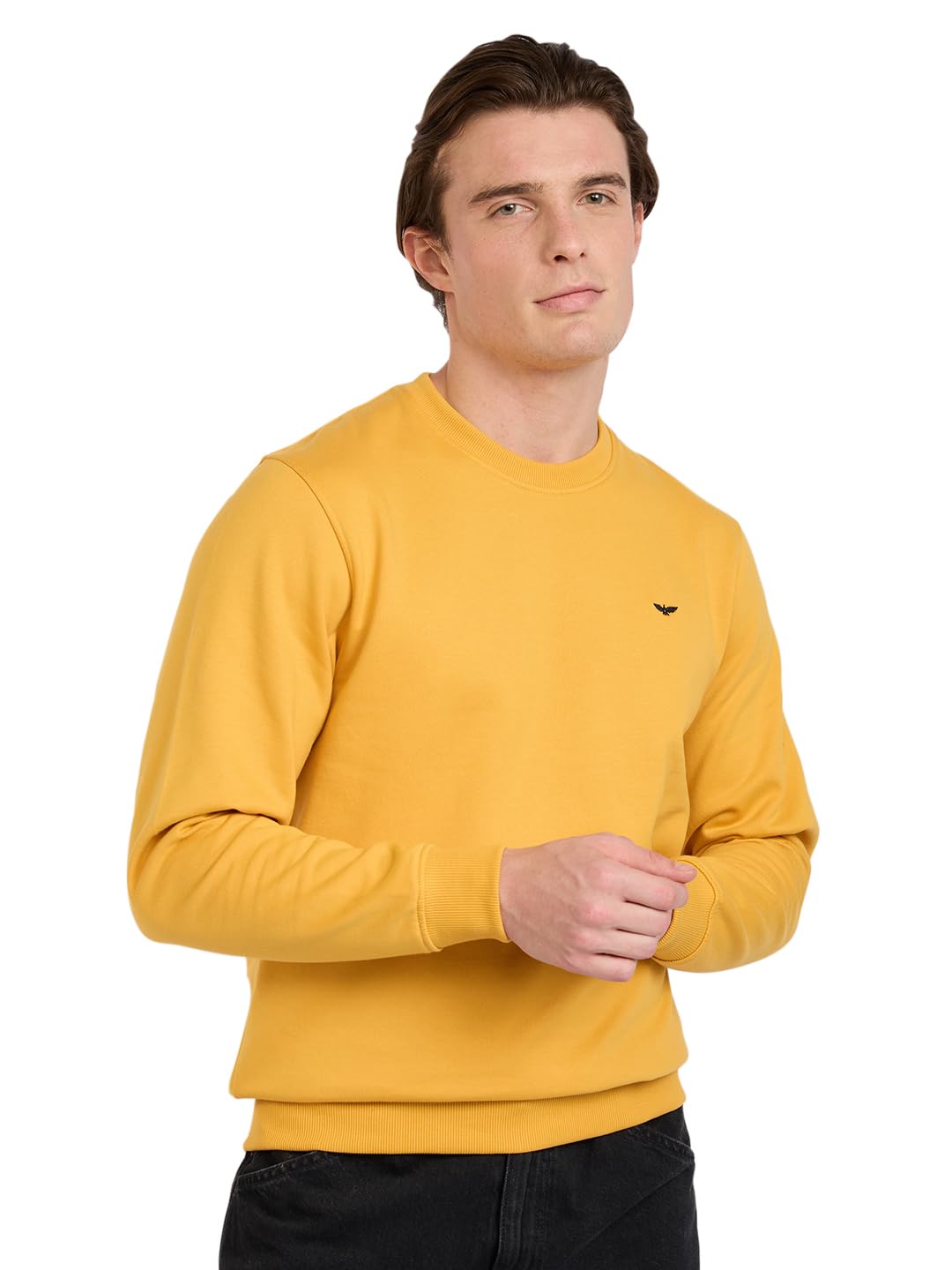 park avenue Men Full Sleeve Slim Fit Solid Pattern Cotton Polyester Blend Regular Neck Casual Sweatshirt-picture-19