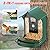 Smart Bird Feeder Camera, Hummingbird Watching Camera with Motion Detection & Auto Capture Bird, 100° Wide Angle & Waterproof 1080P HD Night Vision with 32G Card for Bird Lover