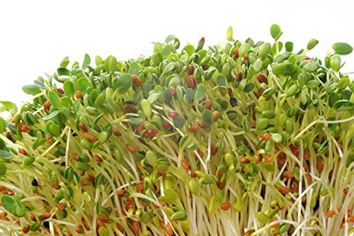 French Sprout Mix -