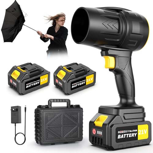 2 X 4.0Ah Battery Handheld Leaf Blower with Storage Box and Charger, Lightweight Leaf Blower for Leaves, Courtyard Cleaning, Lawn Care, Dust, Snow