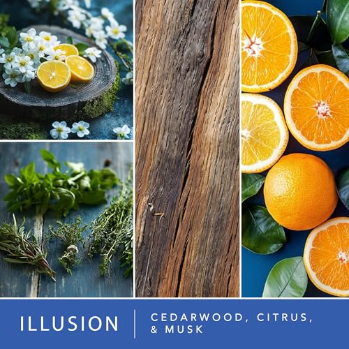 Scentsationals Wax Melts Moodscapes - Tranquility 4-Pack – Long Lasting Wax Cubes with Strong Scent for Warmers – Includes Zen, Illusion, Enchanted & Dream Cloud – 10oz (24-Cubes) - Image 4