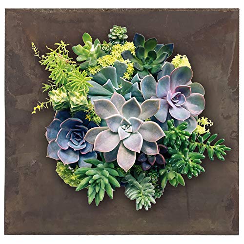 Modern Home Living Wall Galvanized Steel/Zinc Succulent Planter, Wall Mounted Garden Pocket Planter (4 Pocket, Rust Zinc) - Image 7