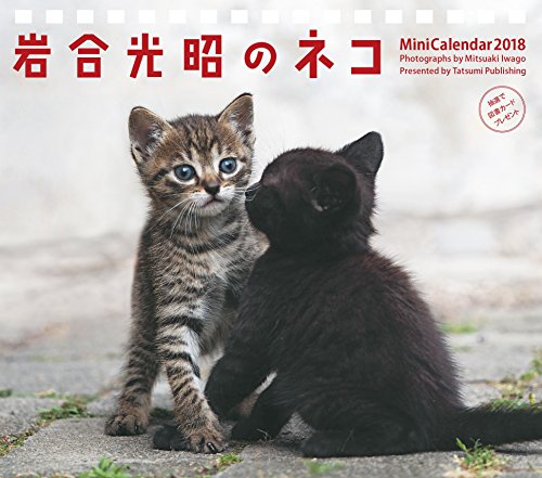 ネコ カレンダーの人気商品 通販 価格比較 価格 Com ネコ カレンダーの人気商品 通販 価格比較 価格 Com