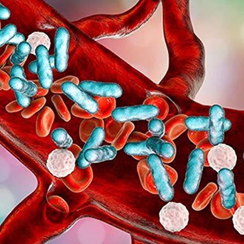 Page de couverture de COVID-19: Inflammation and Therapeutics