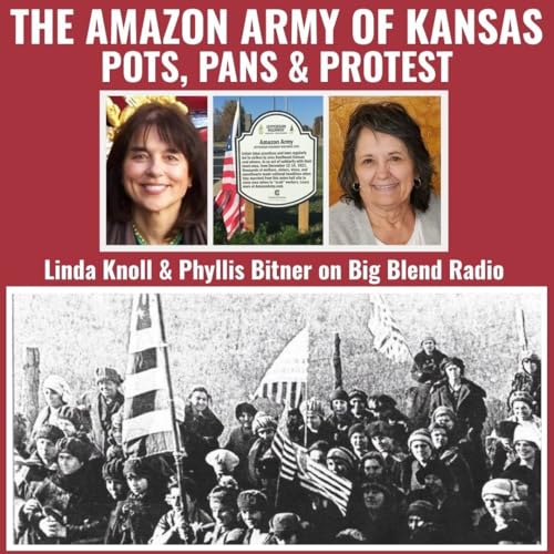 Pots, Pans, and Protest: The Amazon Army of Kansas cover art