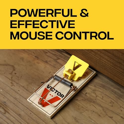 Victor M035-12 Plastic Pedal Easy Set Sustainably Sourced FSC Wood Snap Mouse Trap - 12 Traps - 1