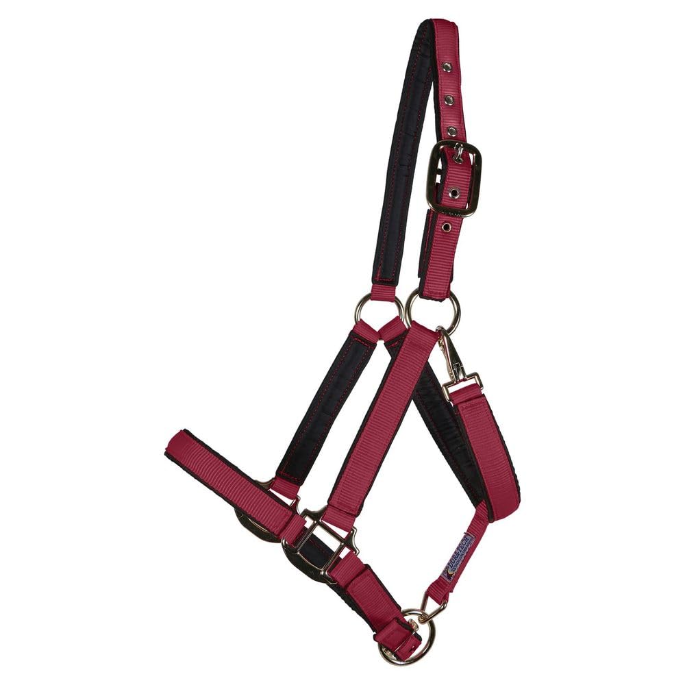 Dura-Tech Fully Padded Nylon Horse Halter | Horse Halter Designed Avoid Rubs | Adjustable Halter Horse Crown and Curb | 1 Double Ply Nylon | Halters for Horses | Oversize | Color Burgundy