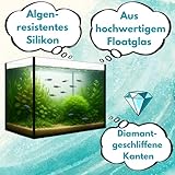 Aquarium Becken rechteckig standard Größen Glasbecken Glas Aquarienbecken - 7