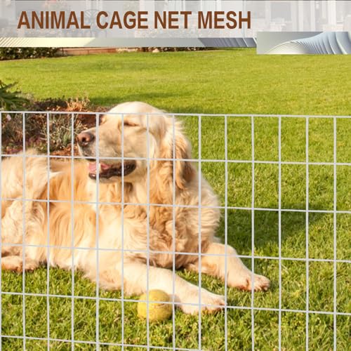 Tongmo 4 ft x 100 ft Galvanized Welded Wire Fence, 16GA Garden Chicken Wire Fence Roll, Mesh Size 2" x 4"Hardware Cloth, Ideal for Yard Protection and Poultry Netting - Image 4