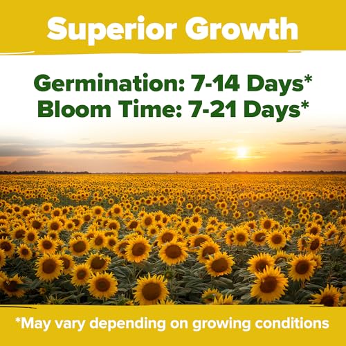 Image of HOME GROWN Sunflower Seeds for Planting | 8 Varieties |1000+ Non-GMO Sun Flower Seeds Packets to Plant: Grow Dwarf Sunflowers, Mexican Sunflowers, Wild, Lemon Queen,Autumn Beauty,Sunspot, Velvet Queen